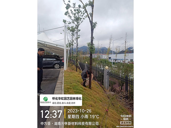 湖南兴怀新材料有限公司绿化施工现场