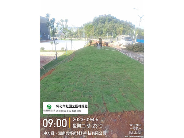 湖南兴怀新材料有限公司绿化施工现场