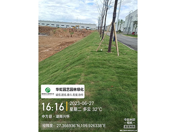 湖南兴怀新材料有限公司绿化施工现场