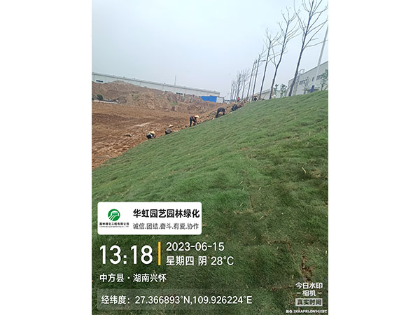 湖南兴怀新材料有限公司绿化施工现场