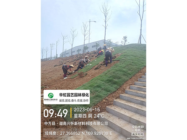 湖南兴怀新材料有限公司绿化施工现场