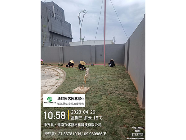 湖南兴怀新材料有限公司绿化施工现场