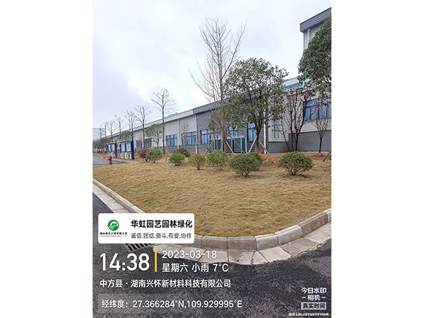 湖南兴怀新材料有限公司绿化施工现场