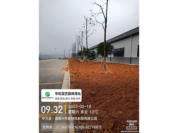 湖南兴怀新材料有限公司绿化施工现场