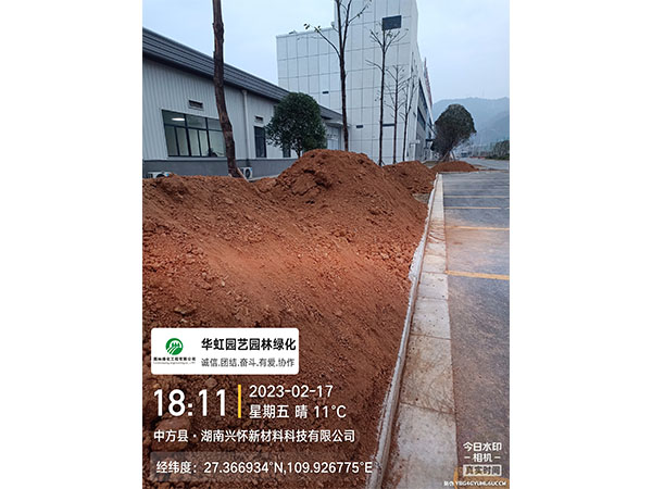 湖南兴怀新材料有限公司绿化施工现场