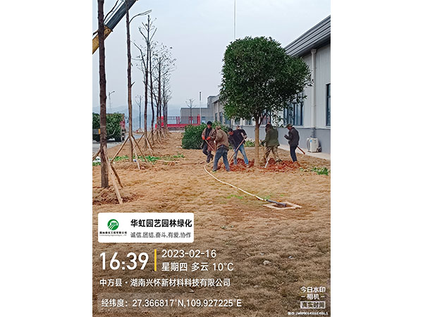 湖南兴怀新材料有限公司绿化施工现场