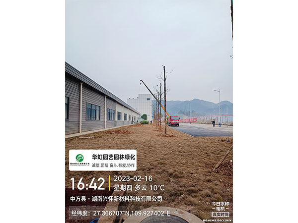 湖南兴怀新材料有限公司绿化施工现场