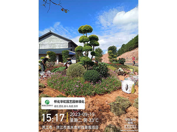 洪江市托口镇清水青村绿化微景观施工现场