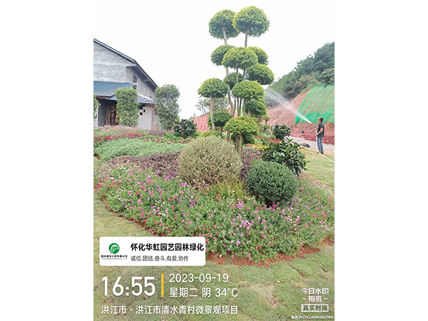 洪江市托口镇清水青村绿化微景观施工现场