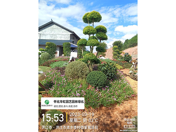 洪江市托口镇清水青村绿化微景观施工现场