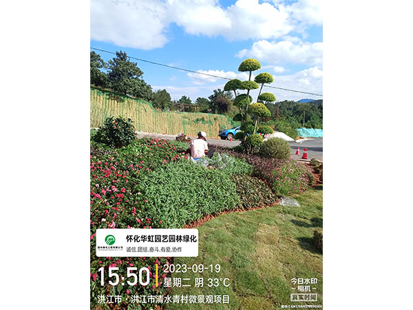 洪江市托口镇清水青村绿化微景观施工现场