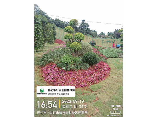 洪江市托口镇清水青村绿化微景观施工现场