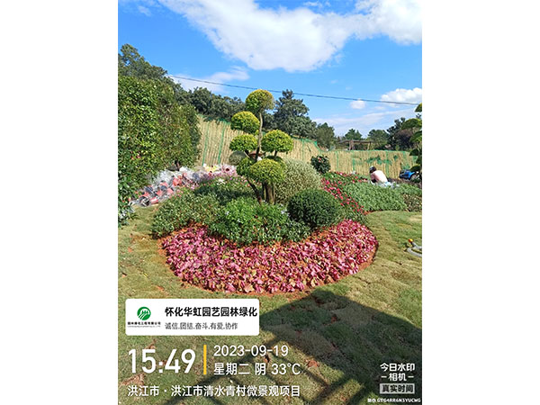 洪江市托口镇清水青村绿化微景观施工现场