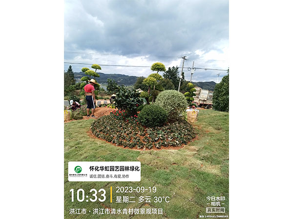 洪江市托口镇清水青村绿化微景观施工现场