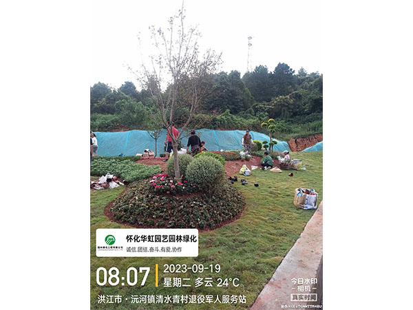 洪江市托口镇清水青村绿化微景观施工现场