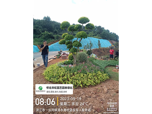 洪江市托口镇清水青村绿化微景观施工现场