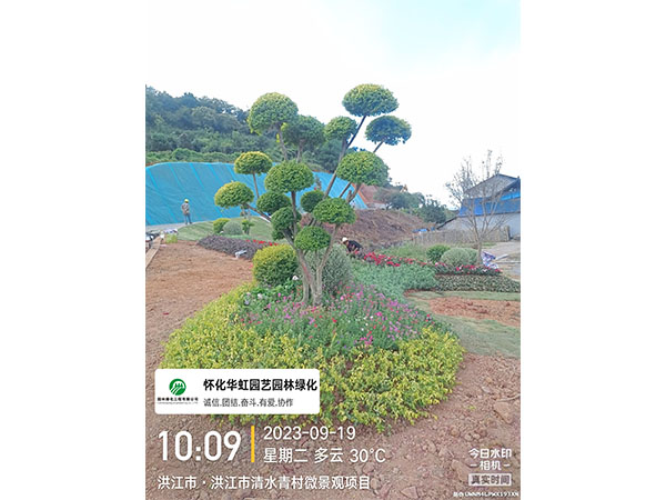 洪江市托口镇清水青村绿化微景观施工现场