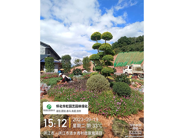洪江市托口镇清水青村绿化微景观施工现场