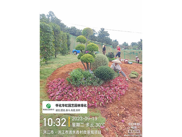 洪江市托口镇清水青村绿化微景观施工现场