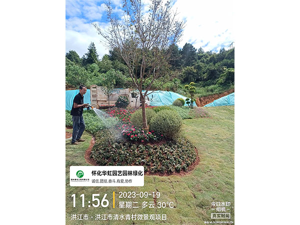洪江市托口镇清水青村绿化微景观施工现场