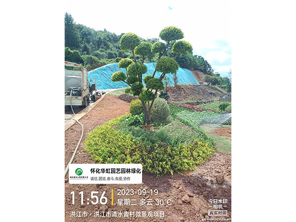 洪江市托口镇清水青村绿化微景观施工现场