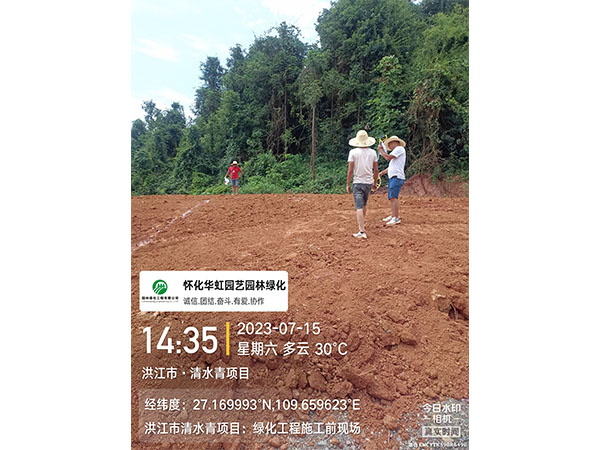 洪江市托口镇清水青村绿化微景观施工现场