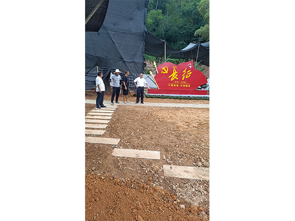 洪江市托口镇清水青村绿化微景观施工现场