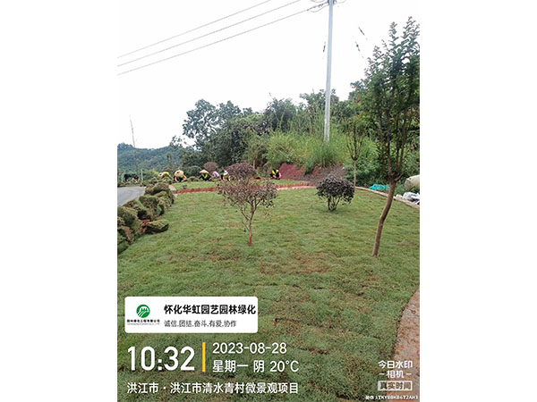洪江市托口镇清水青村绿化微景观施工现场