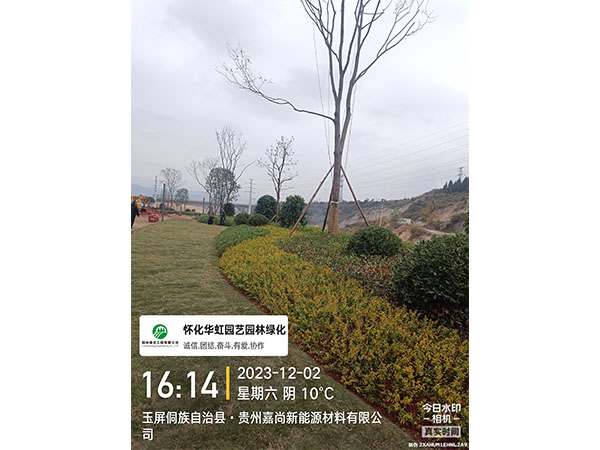 贵州嘉尚新能源材料有限公司绿化施工现场