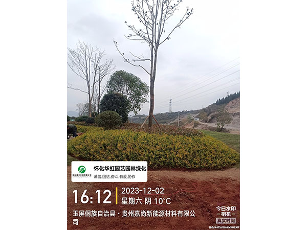 贵州嘉尚新能源材料有限公司绿化施工现场