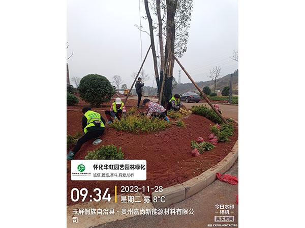 贵州嘉尚新能源材料有限公司绿化施工现场