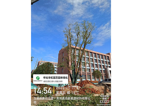 贵州嘉尚新能源材料有限公司绿化施工现场