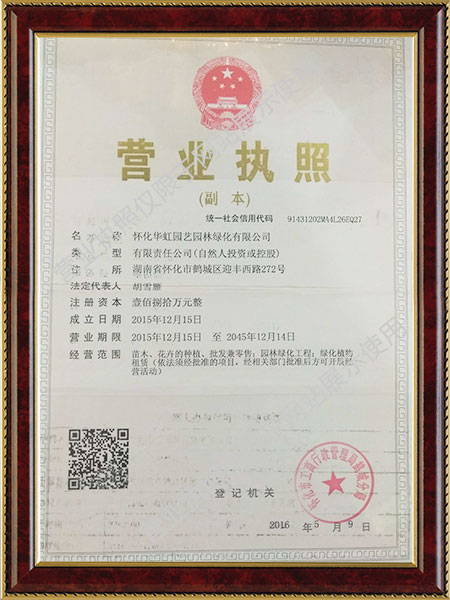 怀化华虹园艺园林绿化有限公司,怀化园林绿化工程设计施工养护