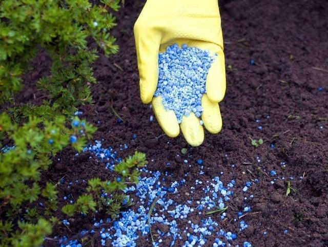 怀化华虹园艺园林绿化有限公司,怀化园林绿化工程设计施工养护