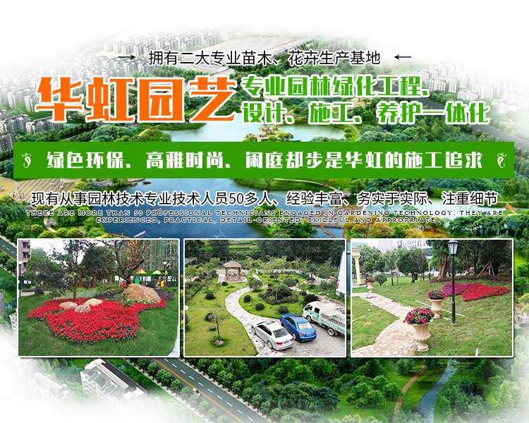 怀化华虹园艺园林绿化有限公司_怀化园林绿化工程|花卉租赁|绿植批发零售