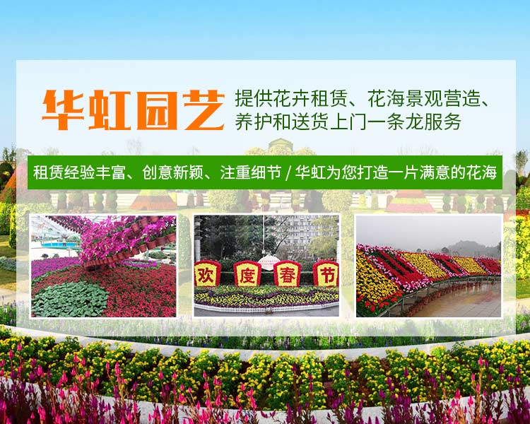 怀化华虹园艺园林绿化有限公司_怀化园林绿化工程|花卉租赁|绿植批发零售